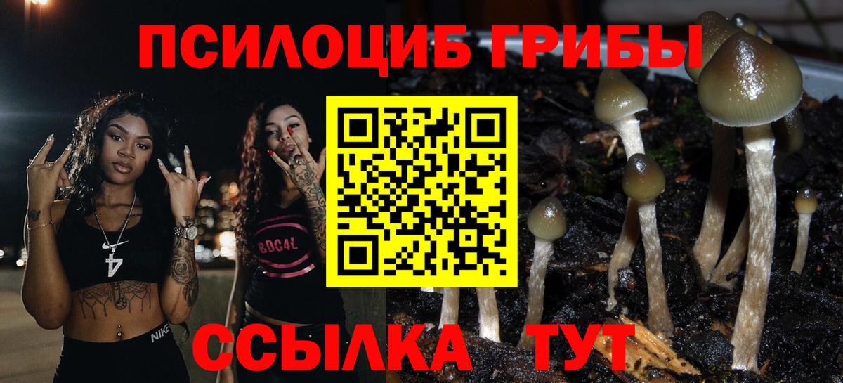 Муравленко  Галлюциногенные грибы мухоморы  где продают   Вход с VPN  Псилоцибиновые грибы Magic Shrooms 